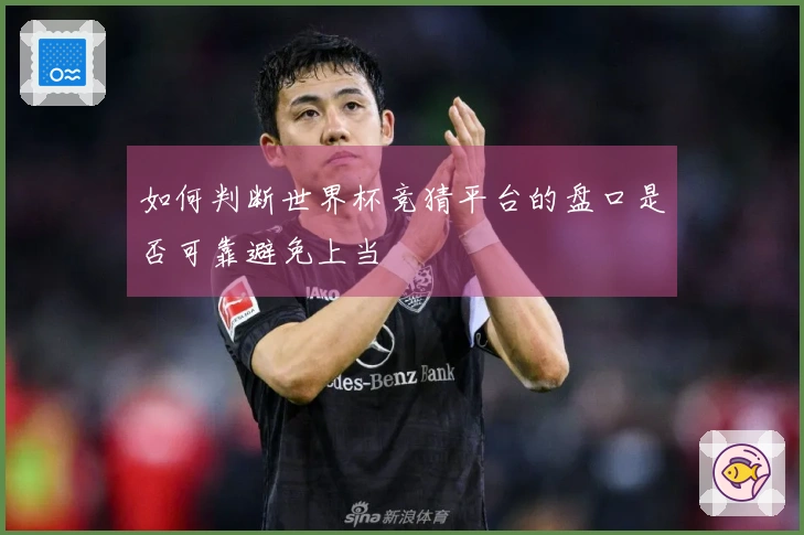 如何判断世界杯竞猜平台的盘口是否可靠避免上当