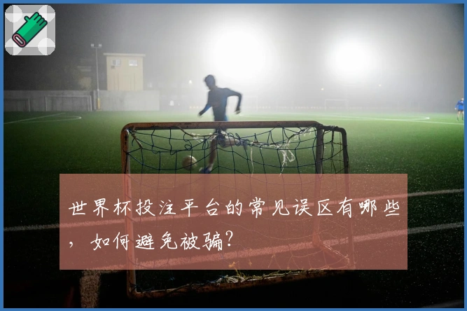 世界杯投注平台的常见误区有哪些，如何避免被骗？