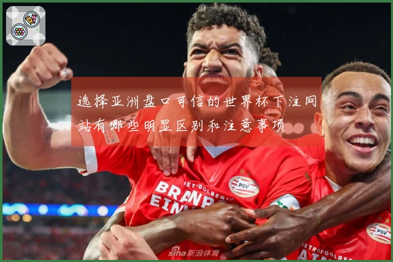 选择亚洲盘口可信的世界杯下注网站有哪些明显区别和注意事项
