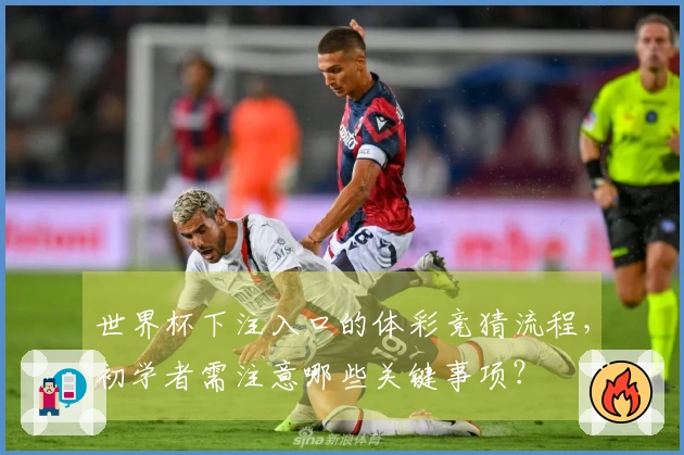 世界杯下注入口的体彩竞猜流程，初学者需注意哪些关键事项？