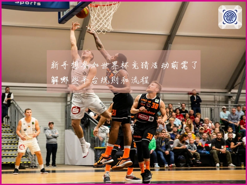 新手想参加世界杯竞猜活动前需了解哪些平台规则和流程