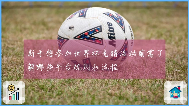 新手想参加世界杯竞猜活动前需了解哪些平台规则和流程