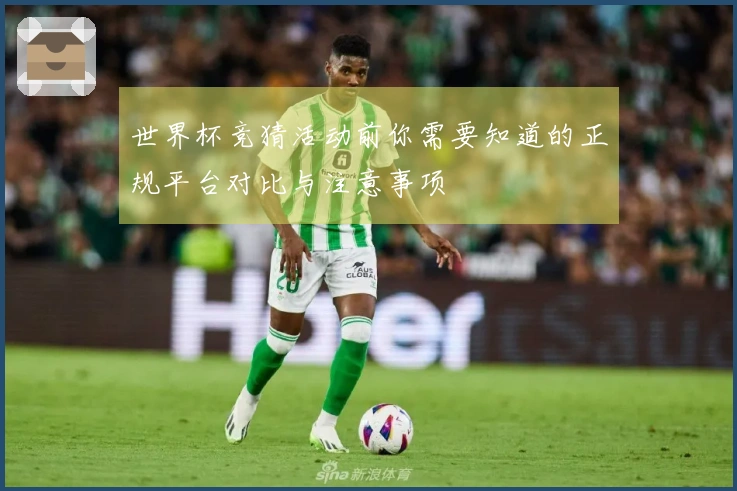 世界杯竞猜活动前你需要知道的正规平台对比与注意事项