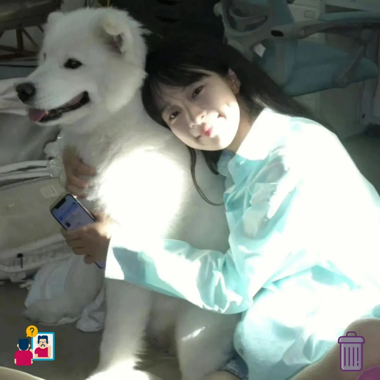 用户提问
